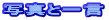ʐ^ƈꌾ
